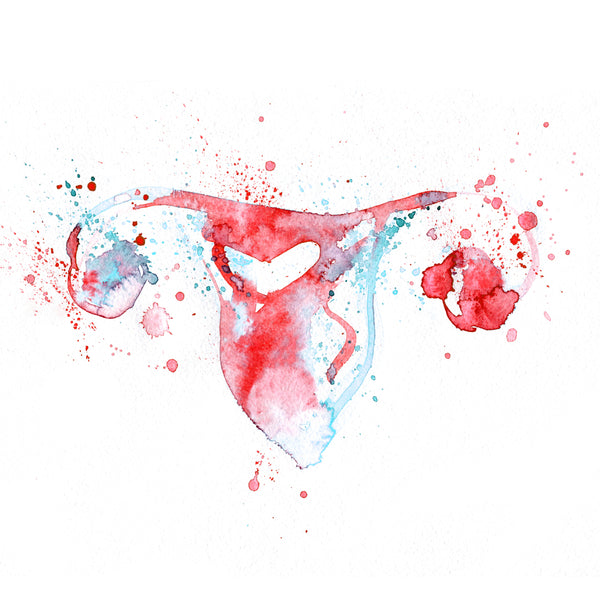 Deinen Menstruationszyklus verstehen